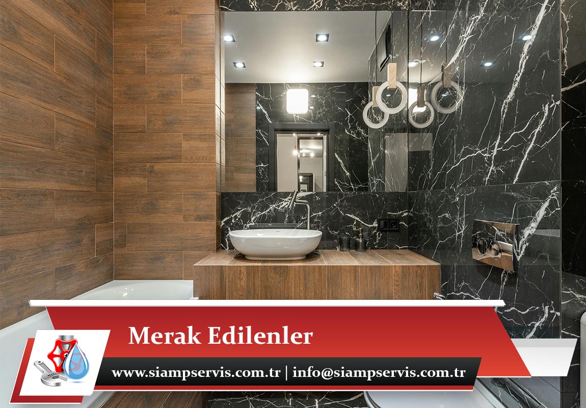 Merak Edilenler